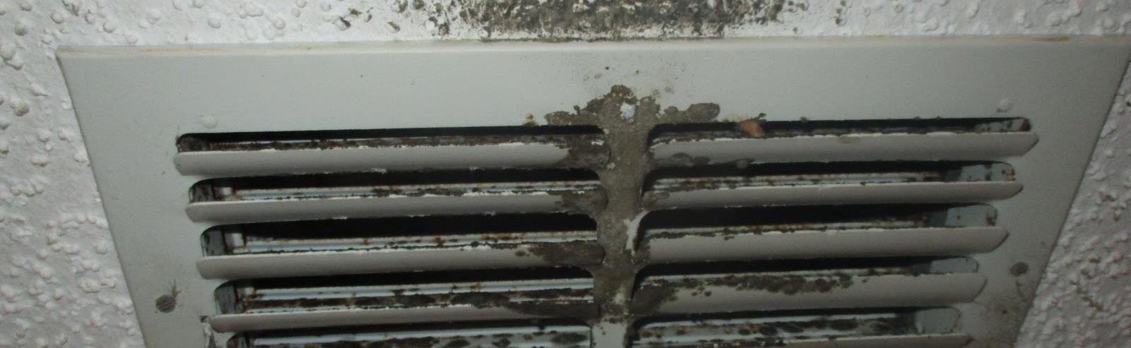 What are the common signs of mold in Fort Myers, FL?