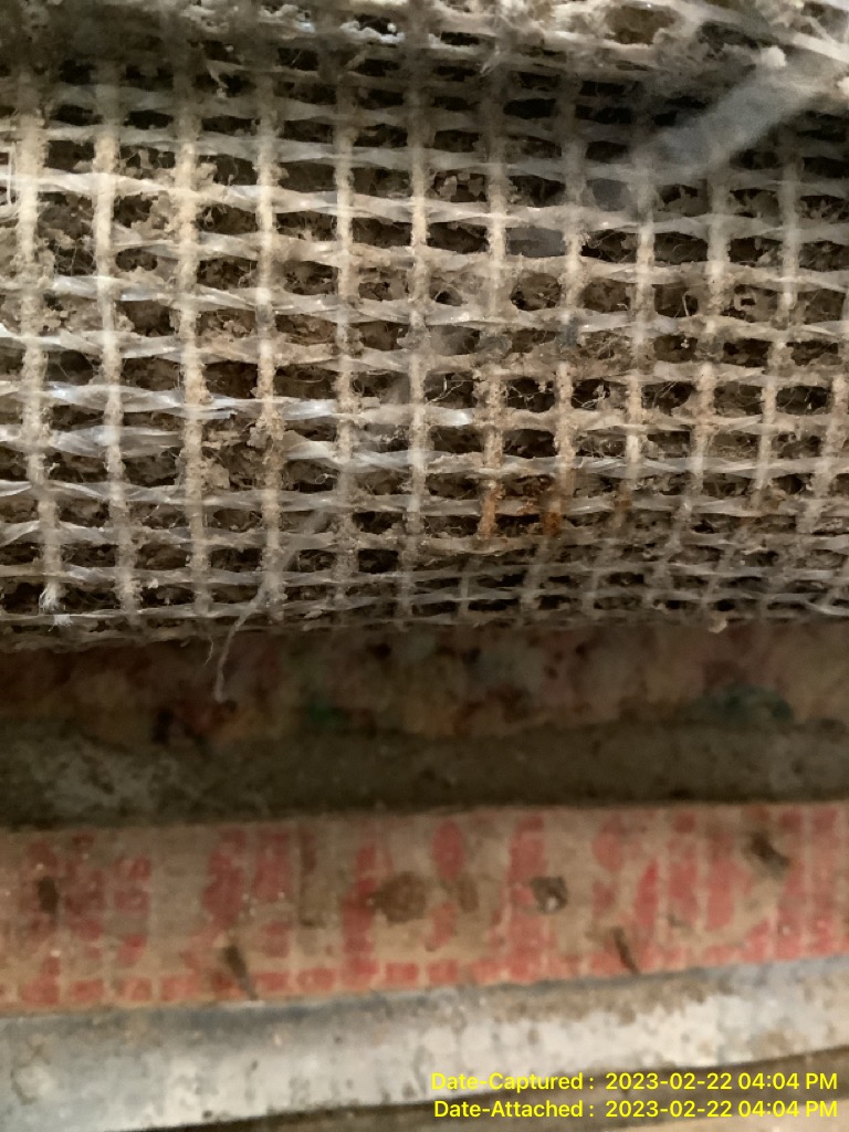 Water Damage Carpeting with mold growth and delamination